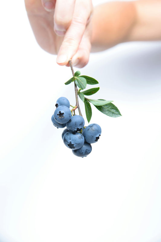 Gesundheitswunder (Wild)beeren