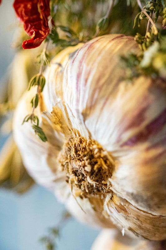 Alleskönner Knoblauch