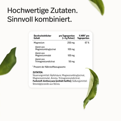 Magnesium-Komplex Pulver 300g